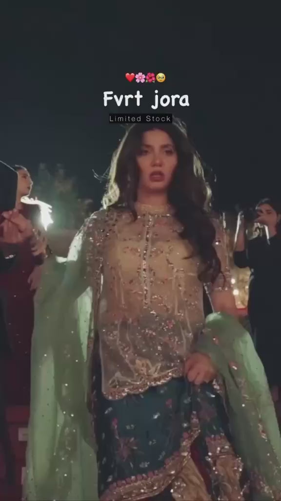 Festive Luxury Embroidered Dress